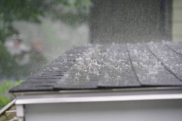Best Roof Coating and Sealing  in Mino Tassajara, CA