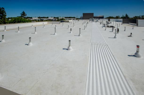 Best Skylight Installation and Repair  in Mino Tassajara, CA